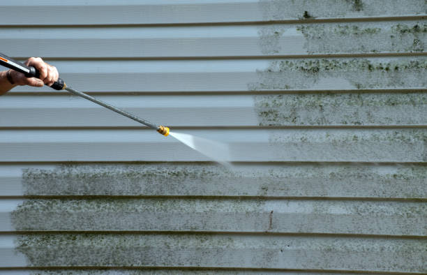 Trusted Black Forest, CO Pressure Washing Experts