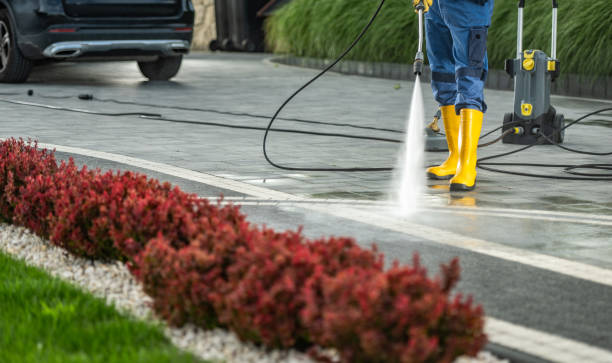 Best Affordable Pressure Washing  in Black Forest, CO