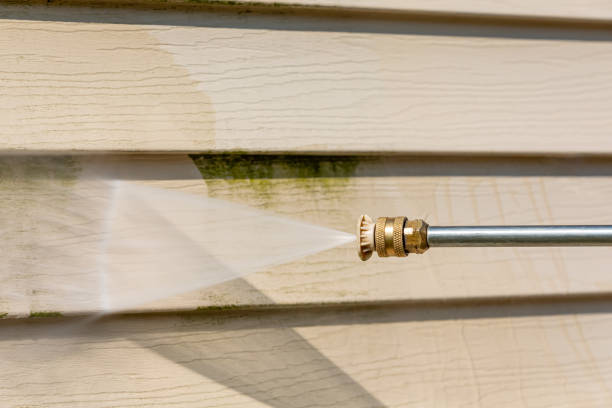 Best Exterior Home Cleaning  in Black Forest, CO
