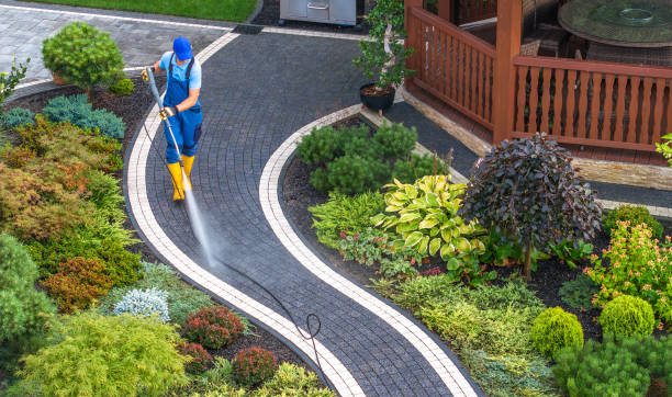 Best Roof Power Washing Services  in Black Forest, CO