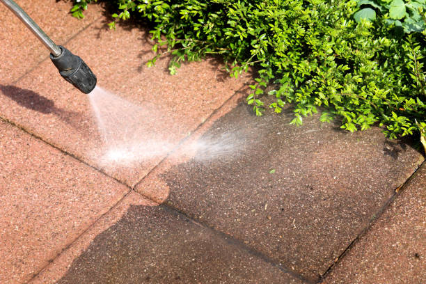 Best Pressure Washing Patio  in Black Forest, CO